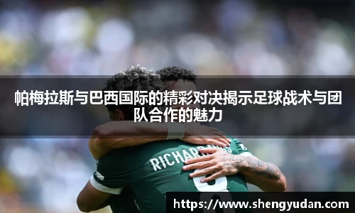 帕梅拉斯与巴西国际的精彩对决揭示足球战术与团队合作的魅力